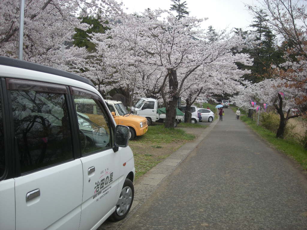 2012/4/22　お花見　治田公園　車1092